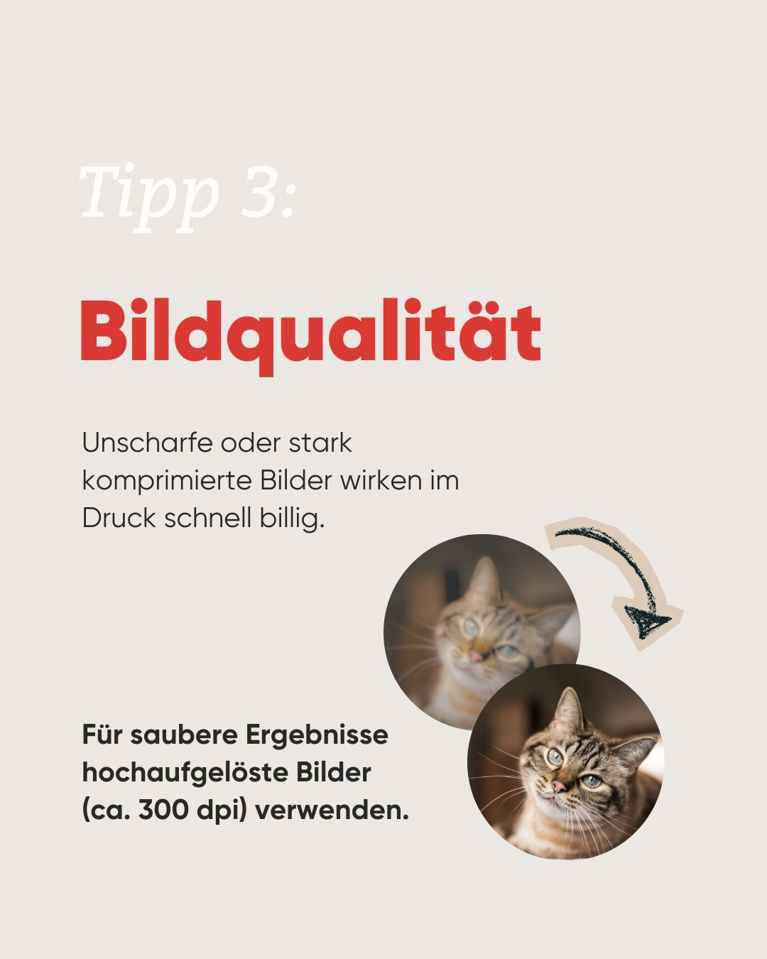 drucktipp3